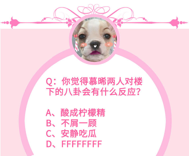 兔子，变身！61