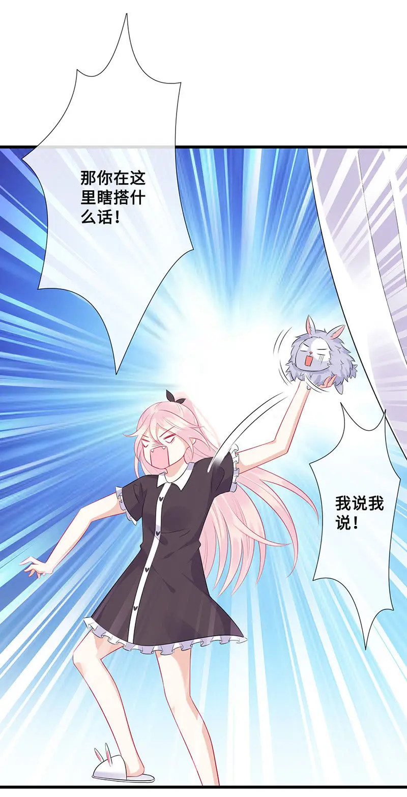 兔子，变身！14
