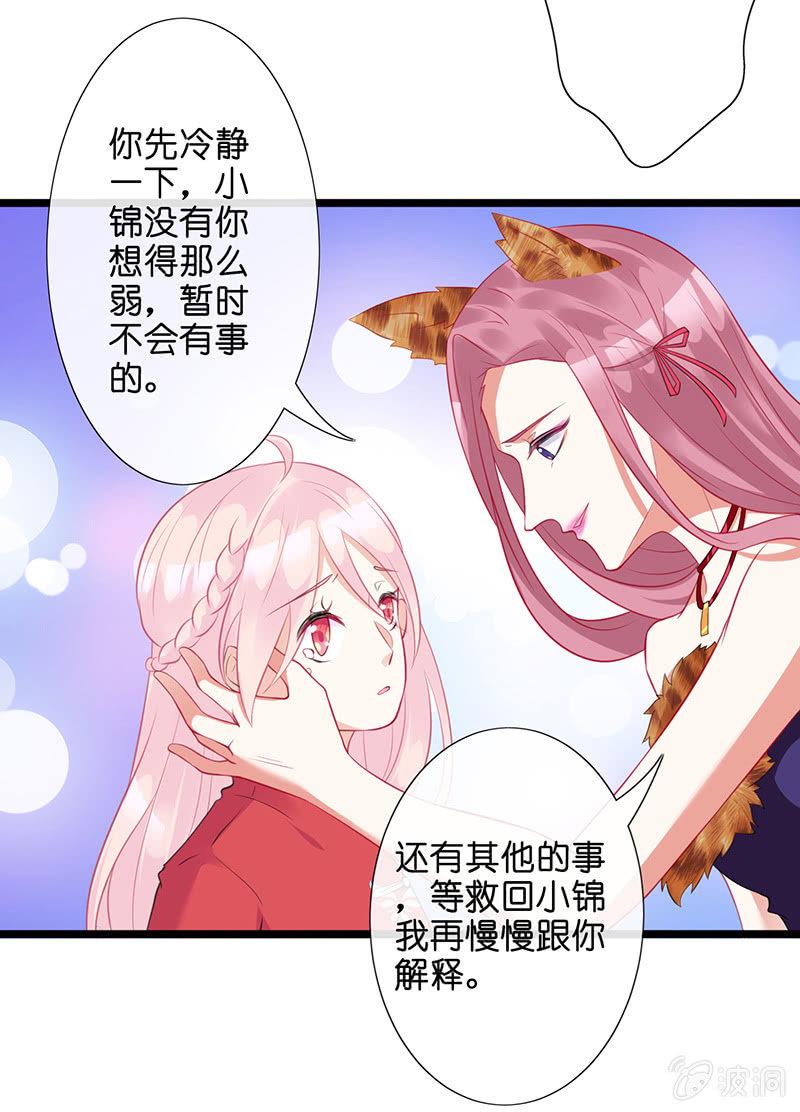 性感奶奶，暴走护崽48