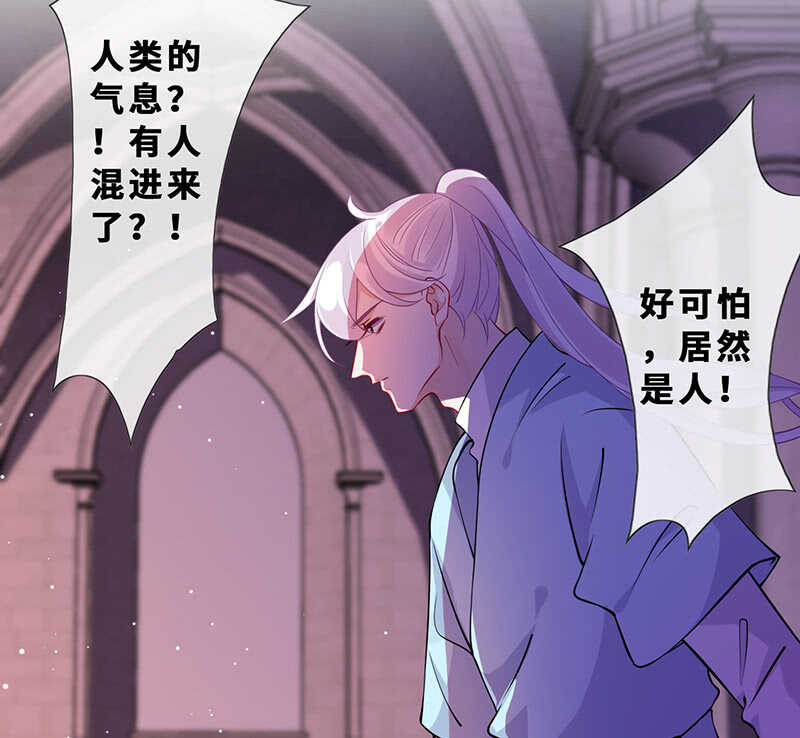 我的女人9