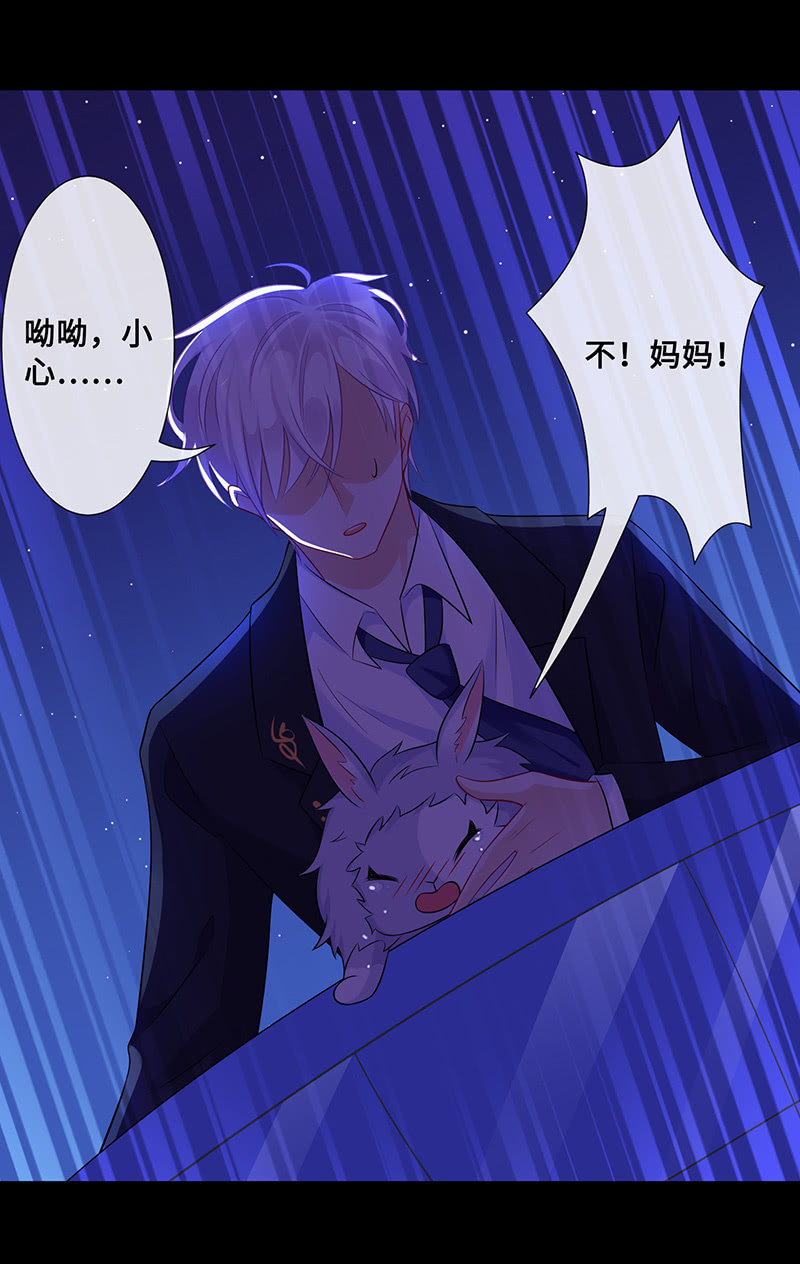 兔子，变身！25