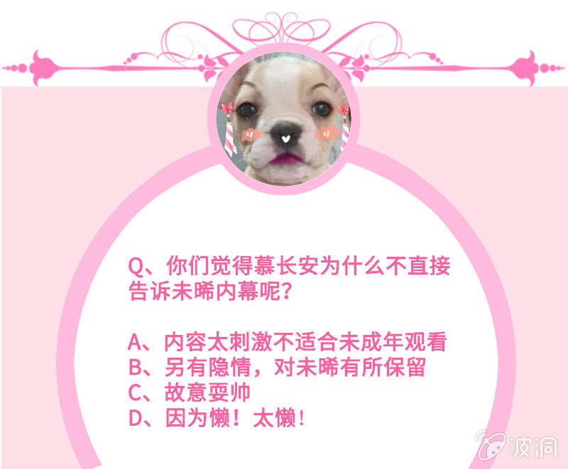 绝对的信任52