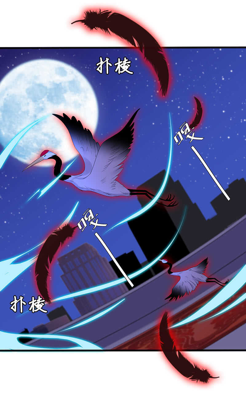神秘女人的来电7
