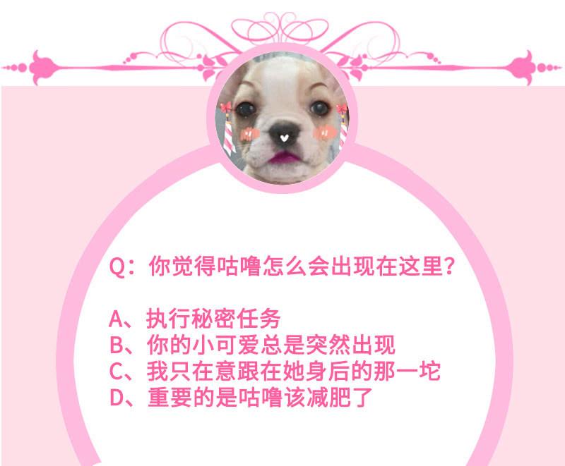 洞里的不明生物46