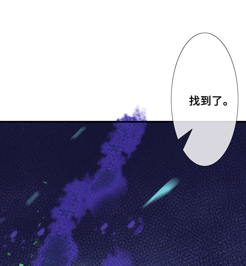 引仪的自我修养11