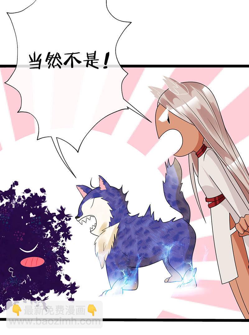性感奶奶，暴走护崽58