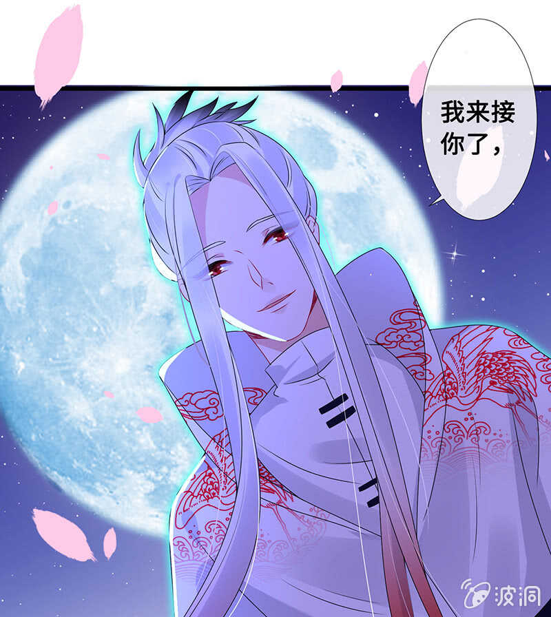 鹤王迎亲28