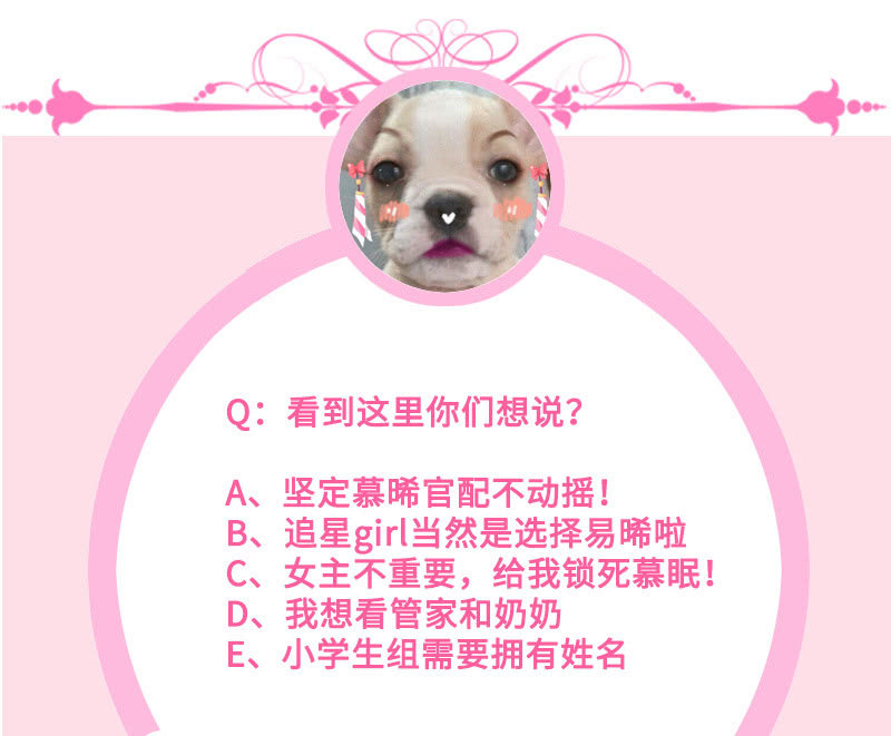 高调的告白53
