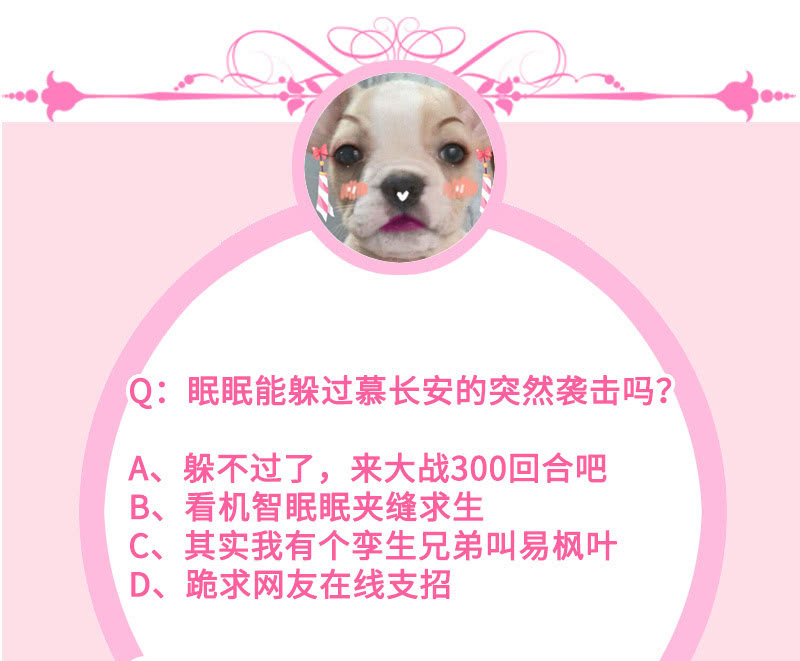 守护之战53