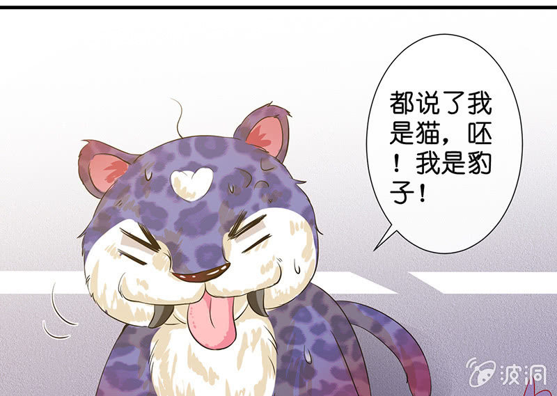 少女斗大猫66