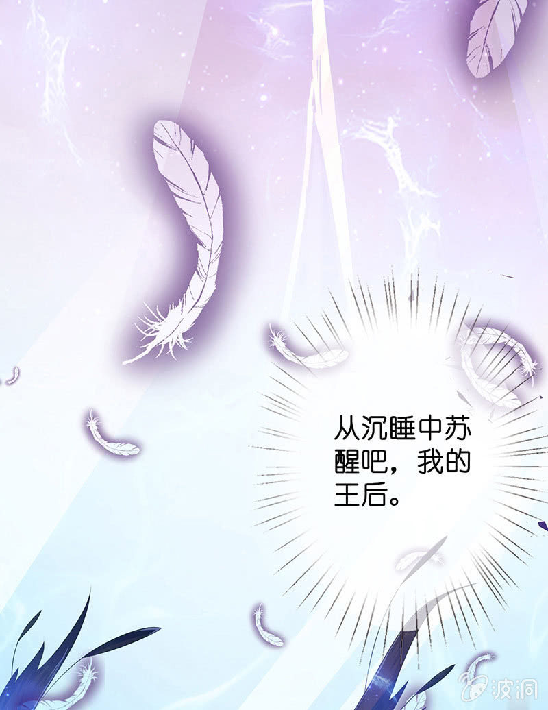我的王后65