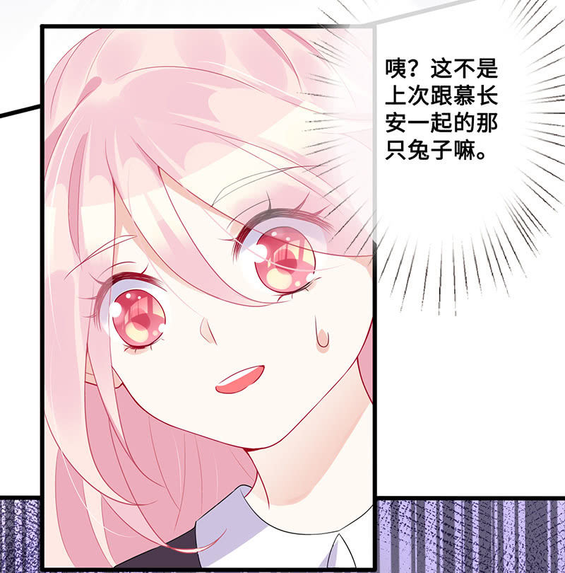 兔子，变身！9