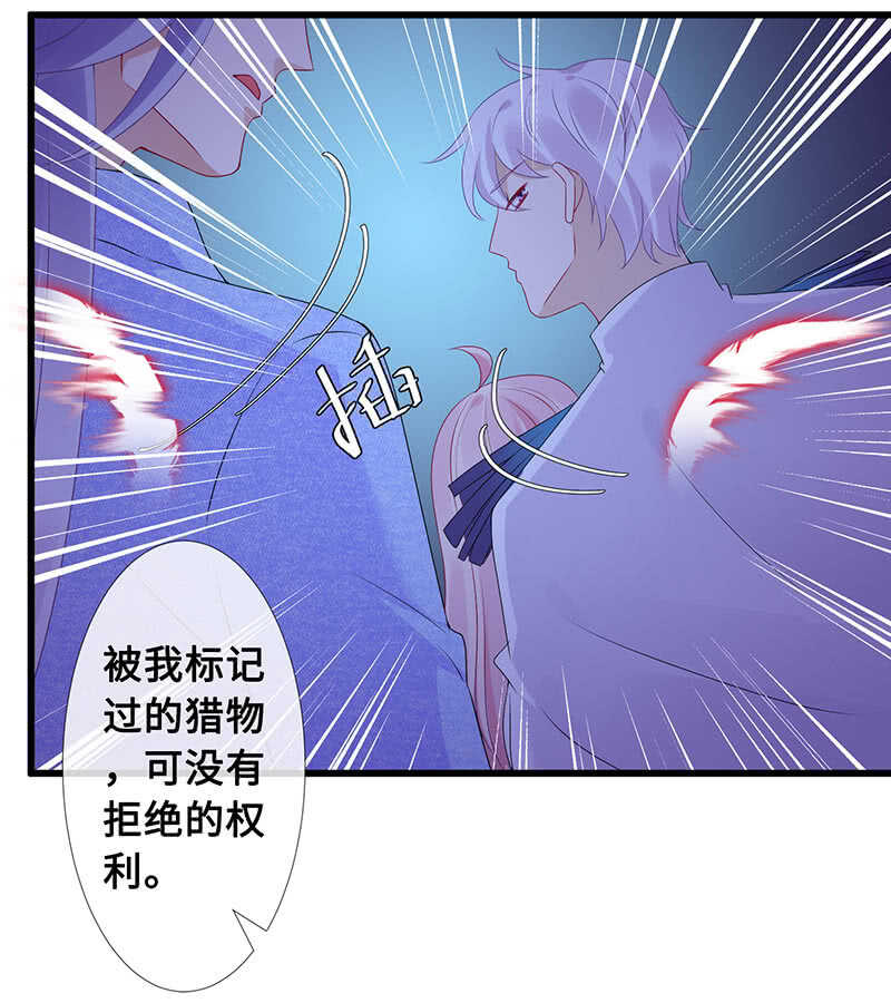 鹤王迎亲39