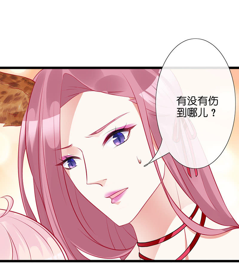性感奶奶，暴走护崽46