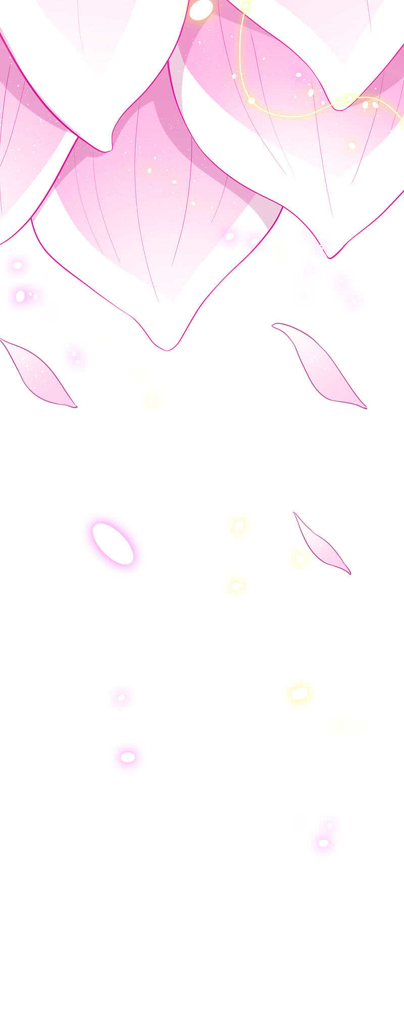 特殊服务46