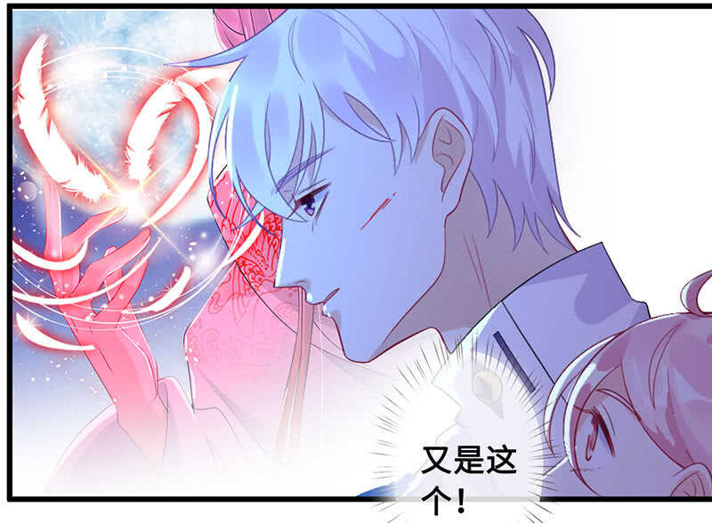 鹤王迎亲35