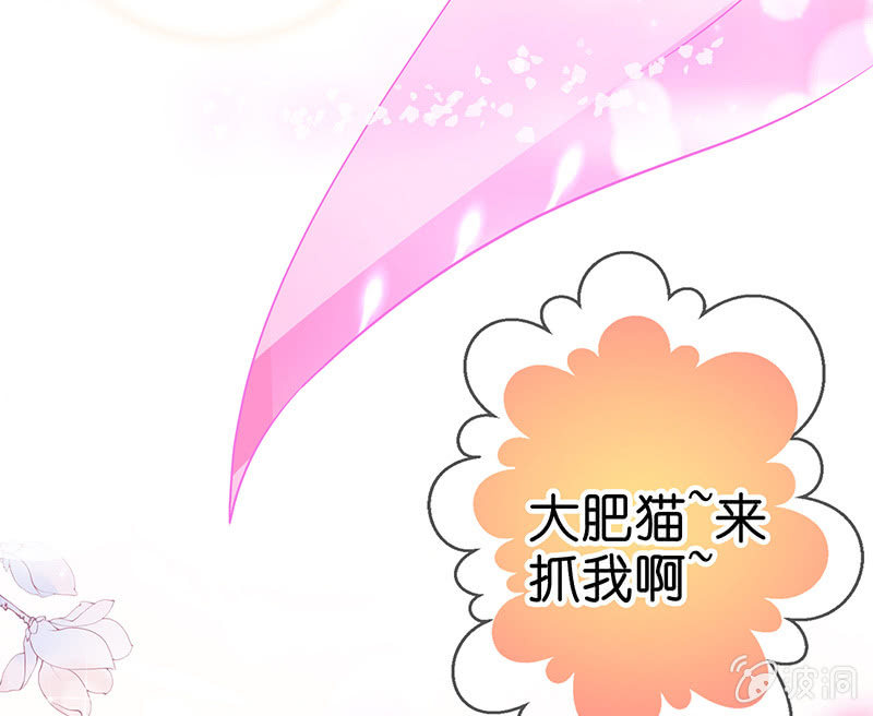 少女斗大猫53