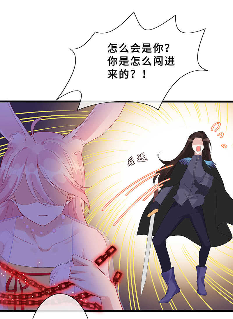 反派死于话多11
