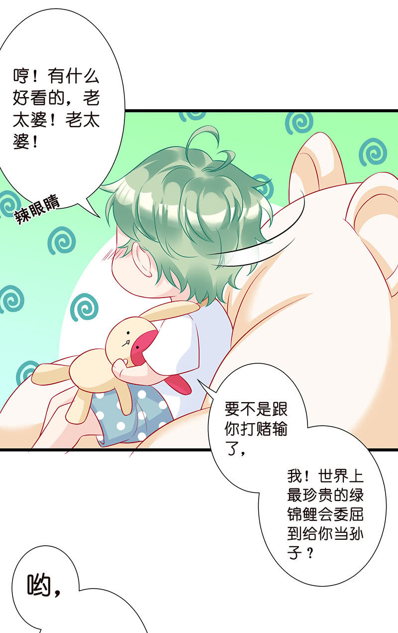 踏夜而来的他39