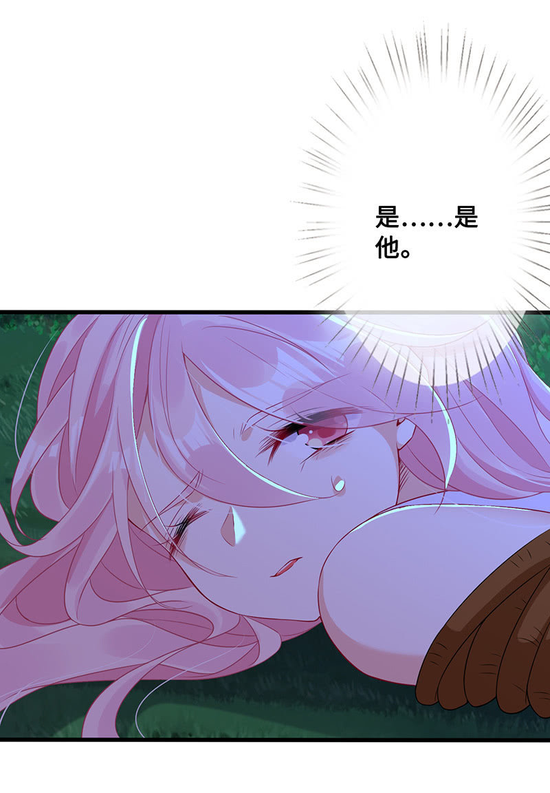 好惨一龟龟3