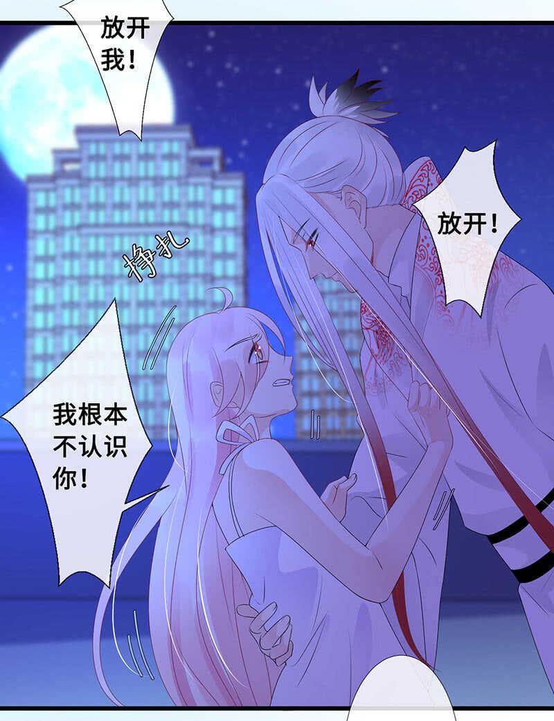 鹤王迎亲43