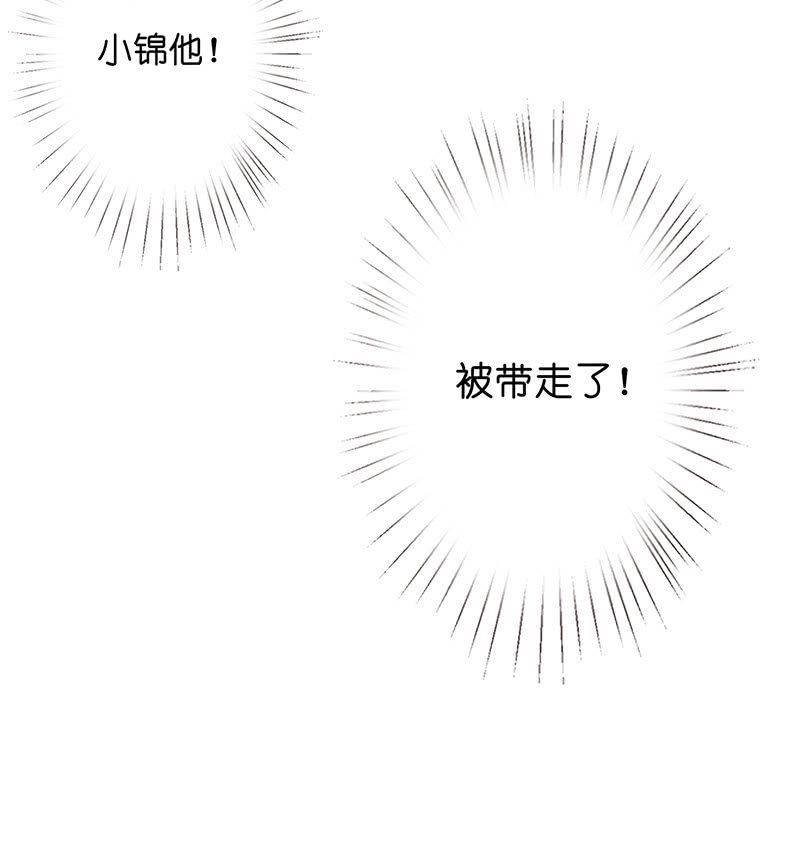 性感奶奶，暴走护崽41