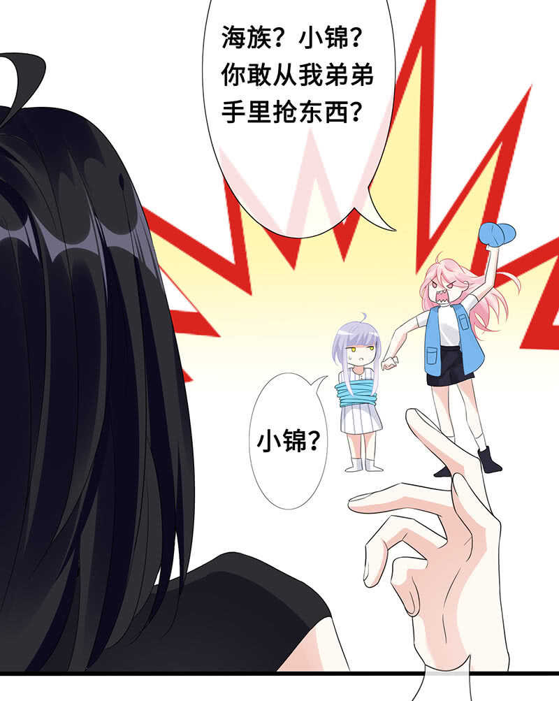 居然变软了！11