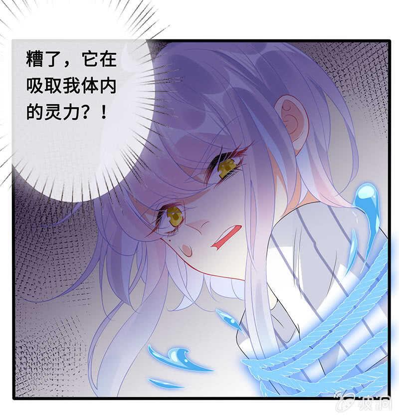 居然变软了！8