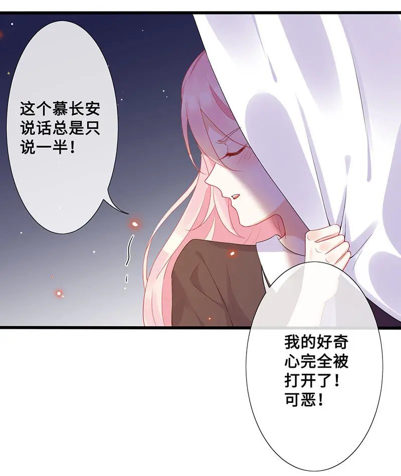 兔子，变身！3
