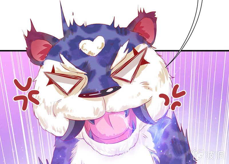 少女斗大猫58