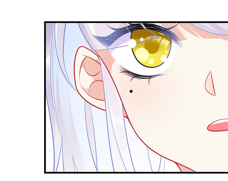 兔子，变身！45