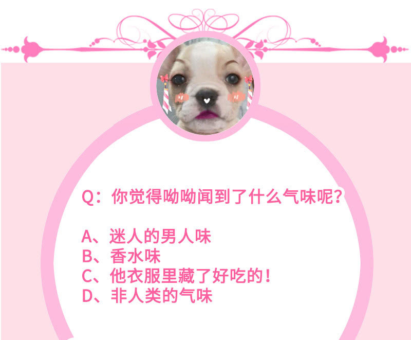 意外的来客50