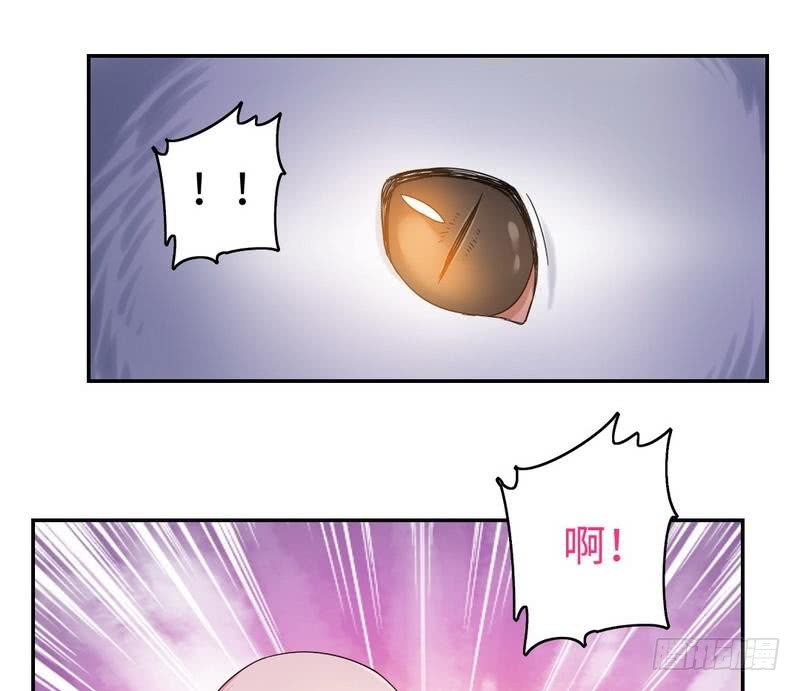 第59话 鉴定书6