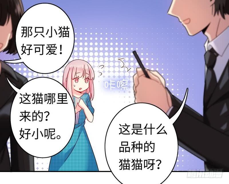 第59话 鉴定书2
