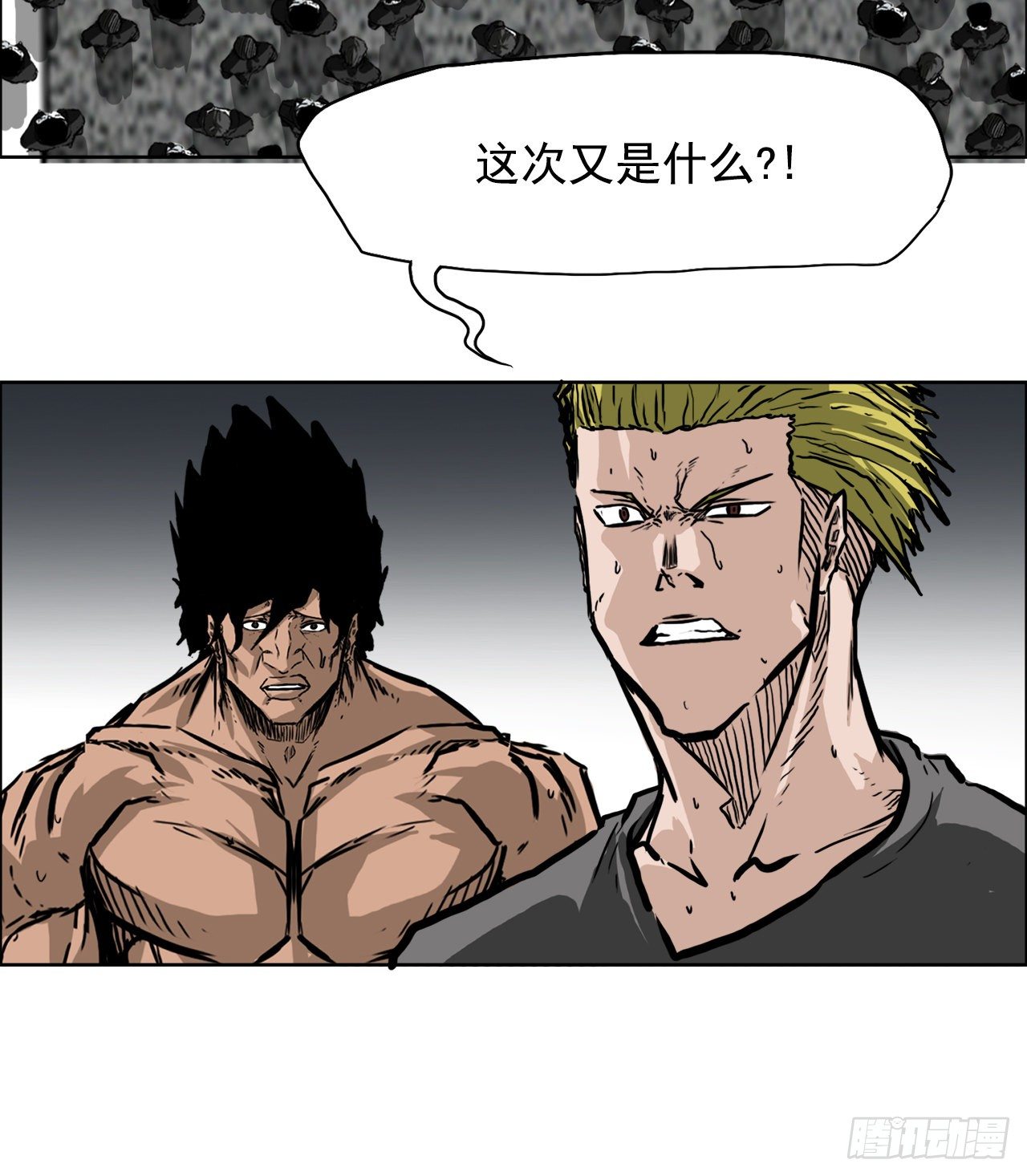 53.参见会长28