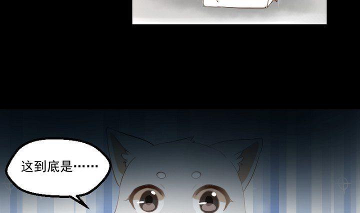 第16话 九狸的过去3