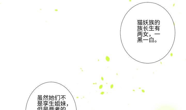 第94话 猫捉老鼠18