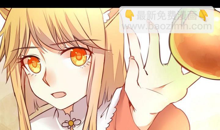 第53话 果实1