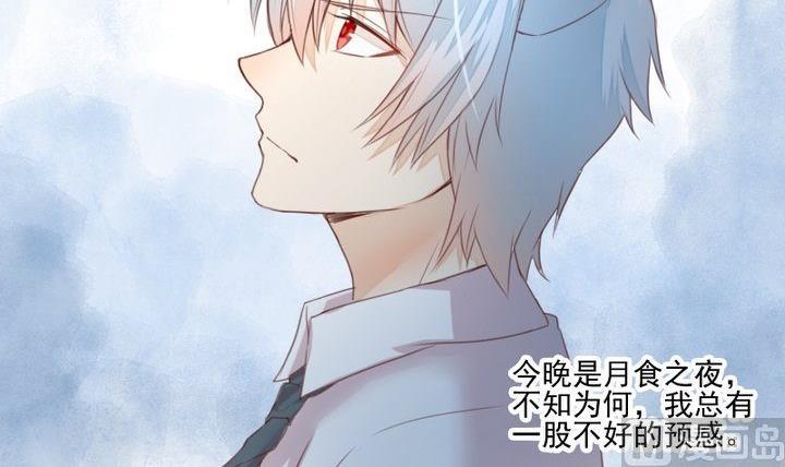 第37话 稀月的计划14