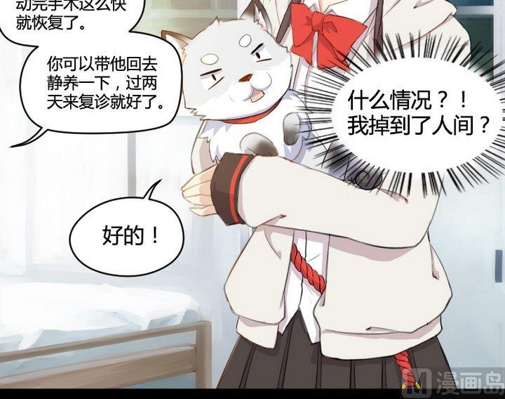 第1话 生肖狱犬14