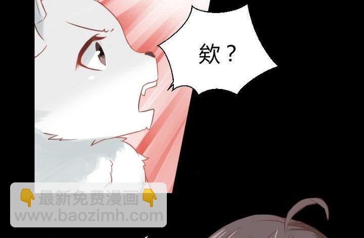 第29话 心疼肉丸！48