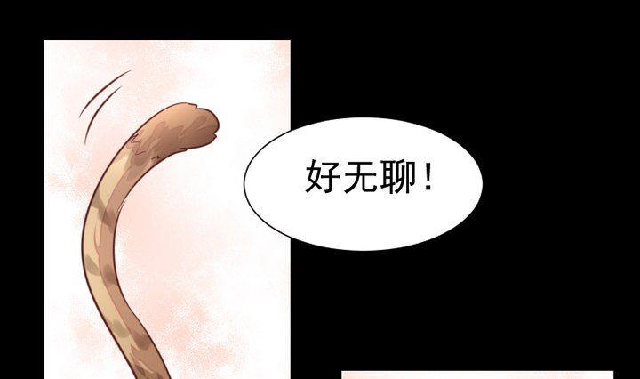 第44话 猫妖0