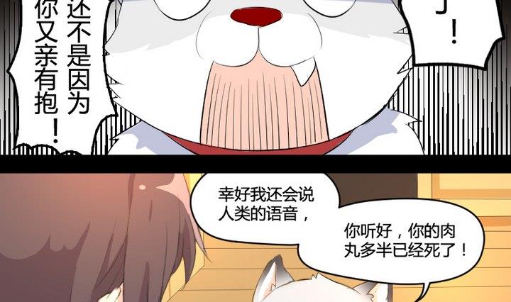 第2话 肉丸说话 了？！3