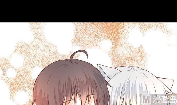 第44话 猫妖14