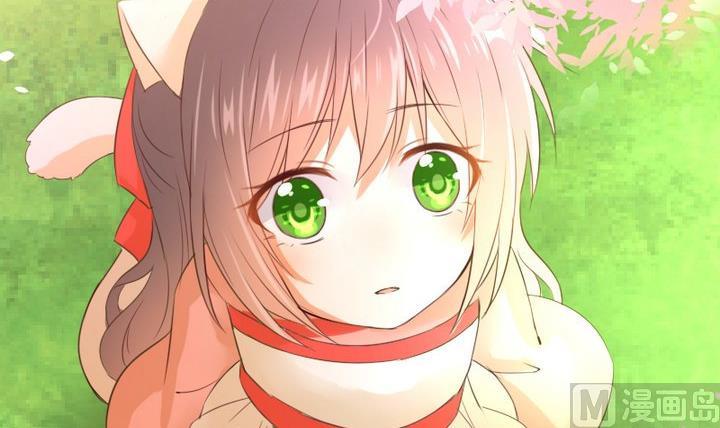 第100话 我愿意17