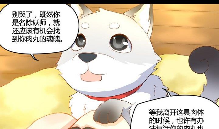 第2话 肉丸说话 了？！18