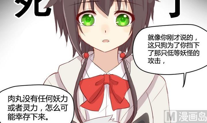 第2话 肉丸说话 了？！14