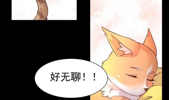 第44话 猫妖1