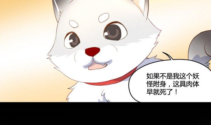 第2话 肉丸说话 了？！12