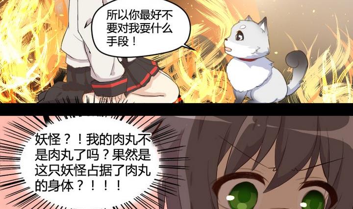 第2话 肉丸说话 了？！7